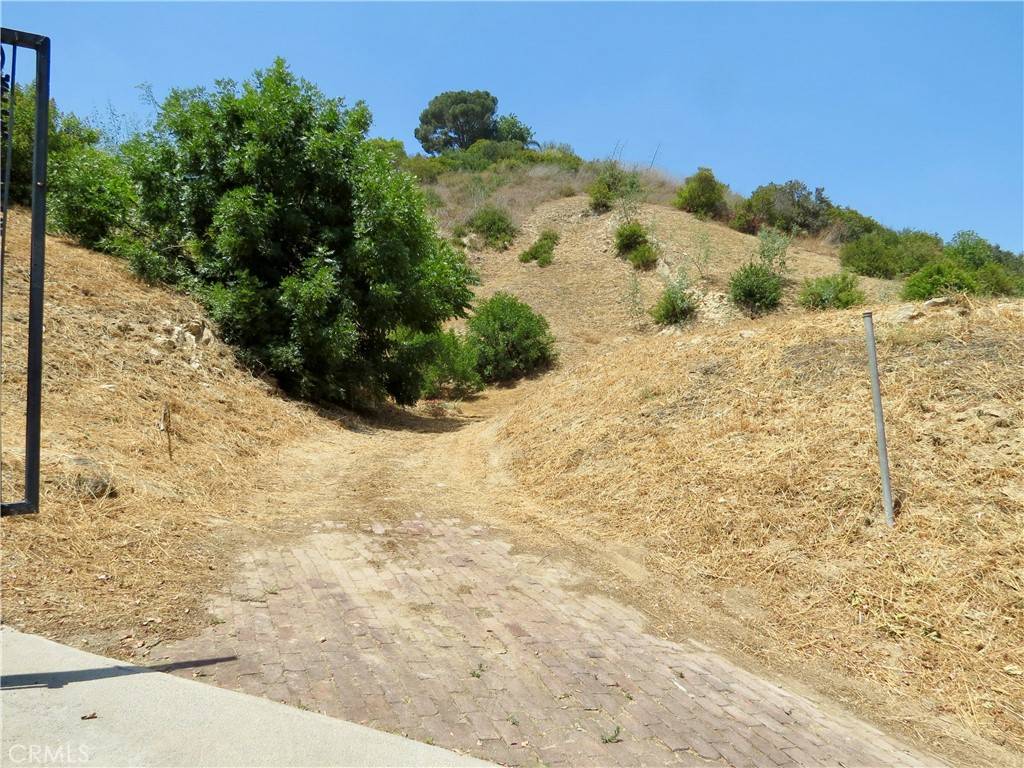 Mount Washington, CA 90065,3597 Loma Lada Dr