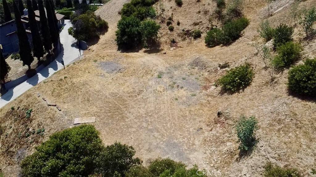 Mount Washington, CA 90065,3597 Loma Lada Dr