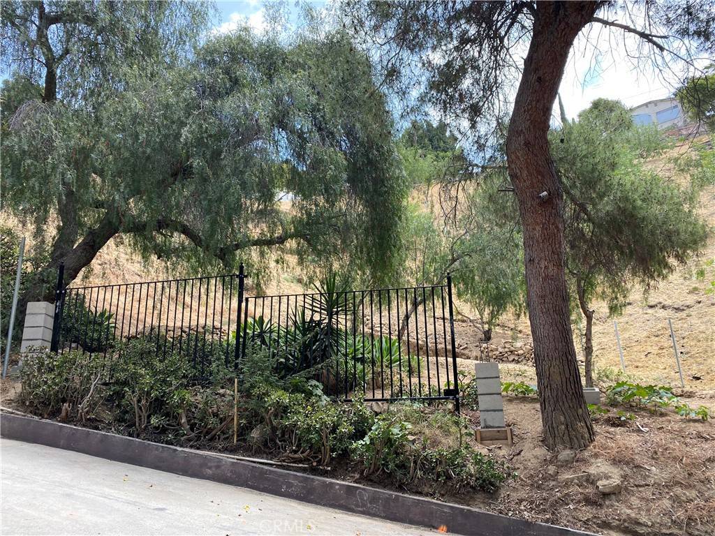 Los Angeles, CA 90065,1539 N Cliff DR