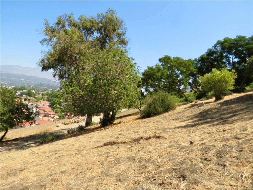 Glassell Park, CA 90065,0 Barryknoll DR
