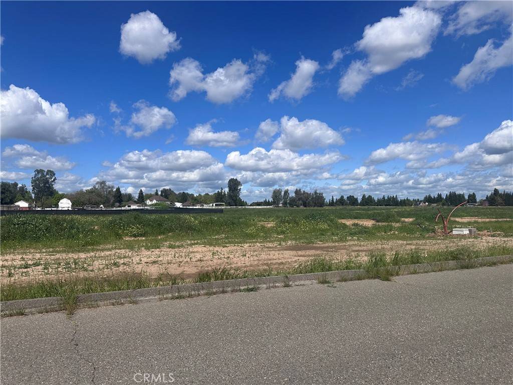 Atwater, CA 95301,0 White Crane