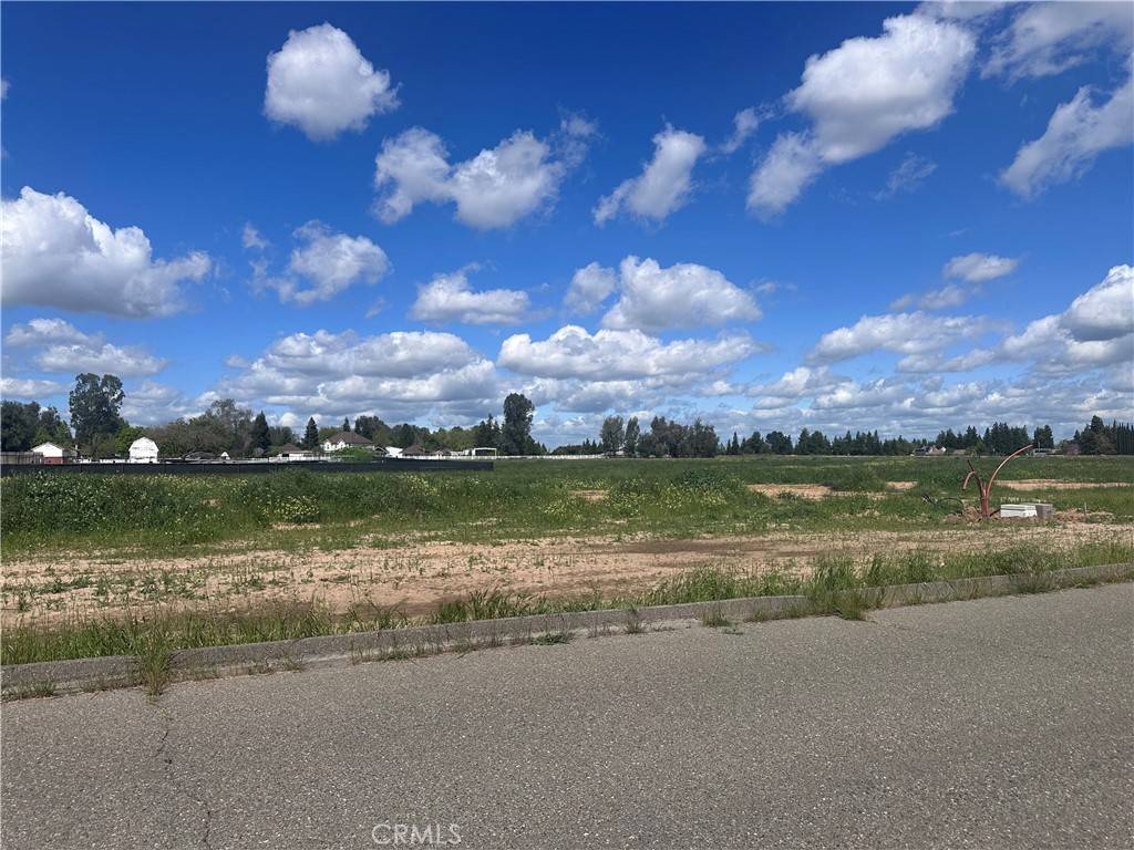 Atwater, CA 95301,0 White Crane