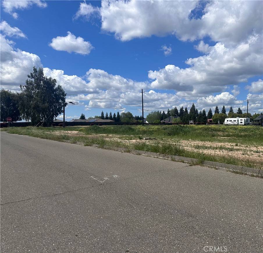 Atwater, CA 95301,1 White Crane