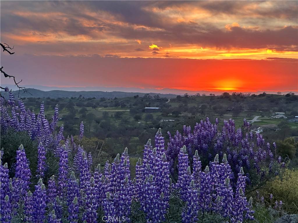 Raymond, CA 93653,0 Spinecup Ridge