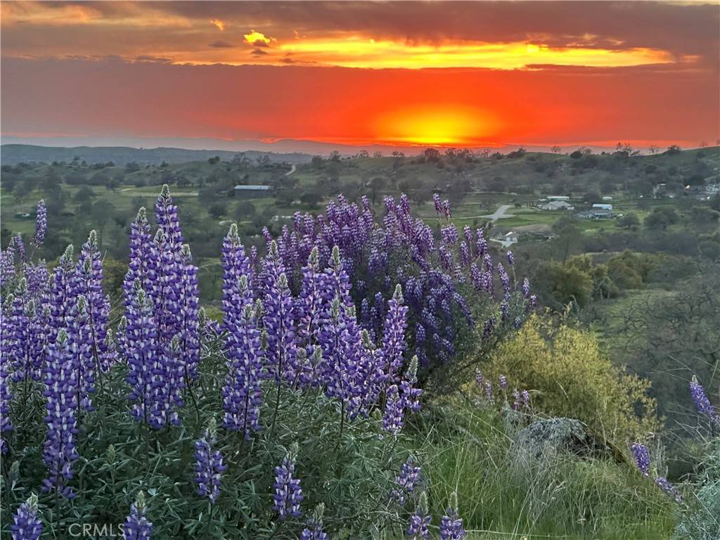 Raymond, CA 93653,0 Spinecup Ridge