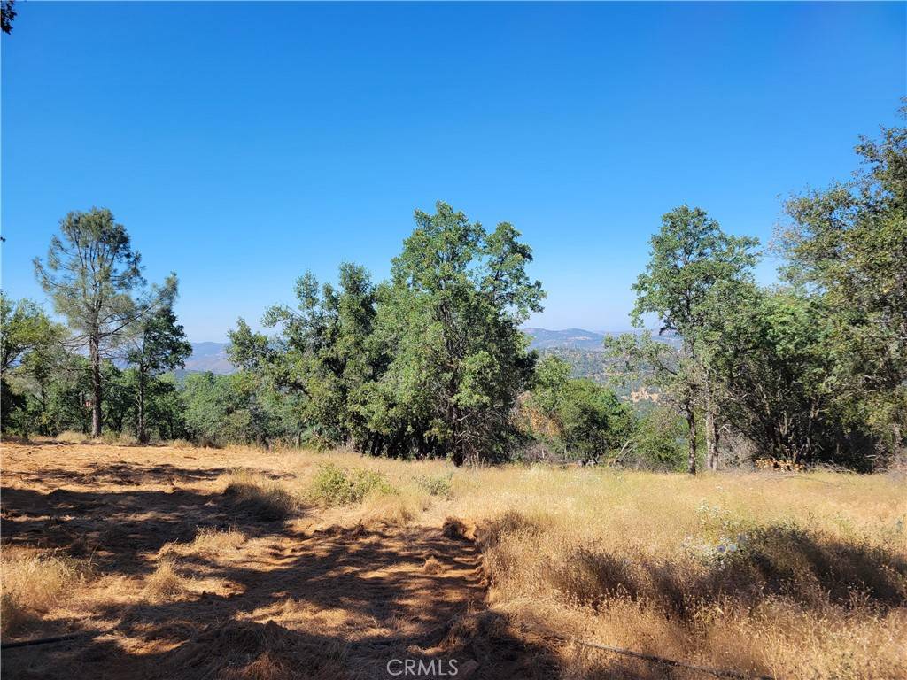 Mariposa, CA 95338,5587 Alta Vista RD
