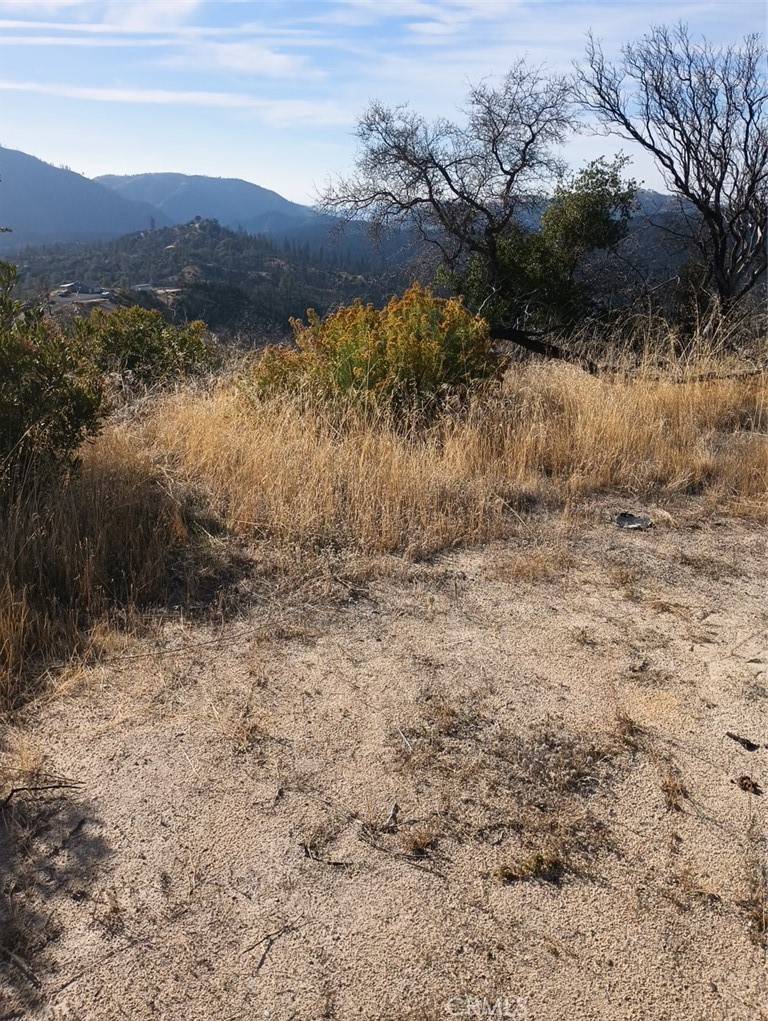 Oroville, CA 95966,1364 Lumpkin RD