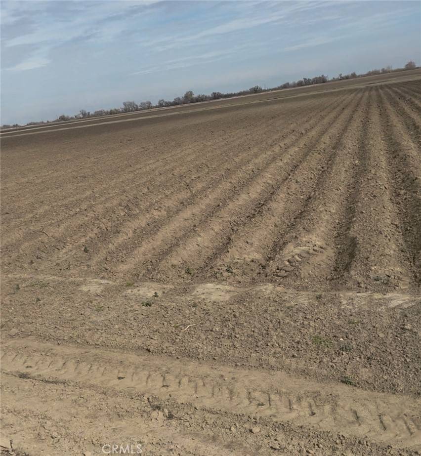 Dos Palos, CA 93620,0 Hutchins RD