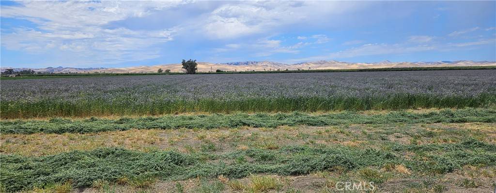 Gustine, CA 95322,26749 Cottonwood RD