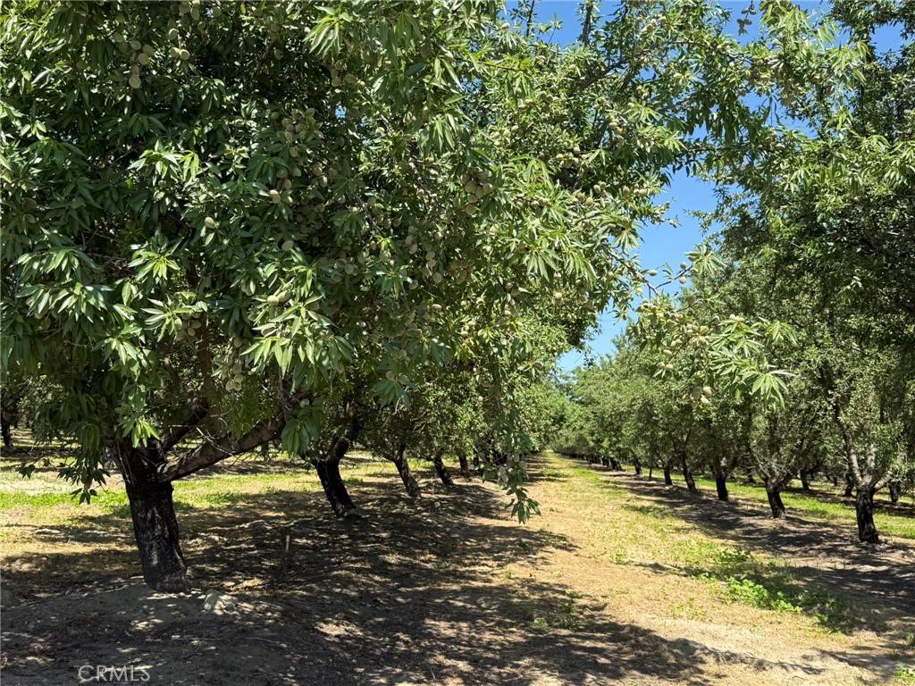 Livingston, CA 95334,0 Sunset Cut