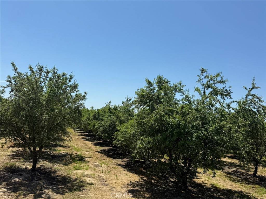 Livingston, CA 95334,0 Sunset Cut