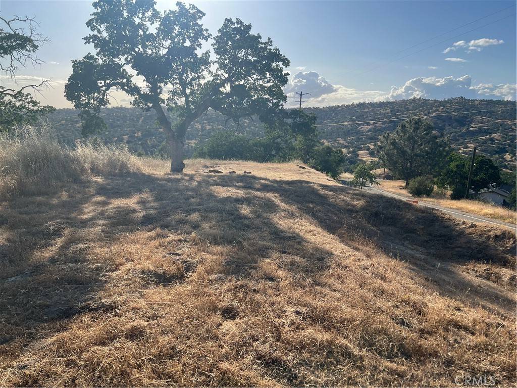 Coarsegold, CA 93614,1578 Lilley Mountain DR