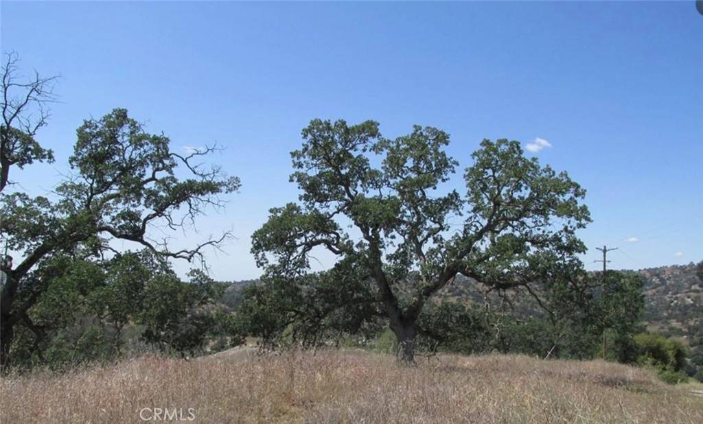 Coarsegold, CA 93614,1578 Lilley Mountain DR