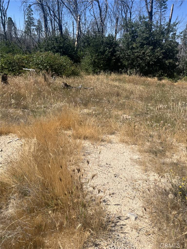 Berry Creek, CA 95916,130 Simpson Ranch RD