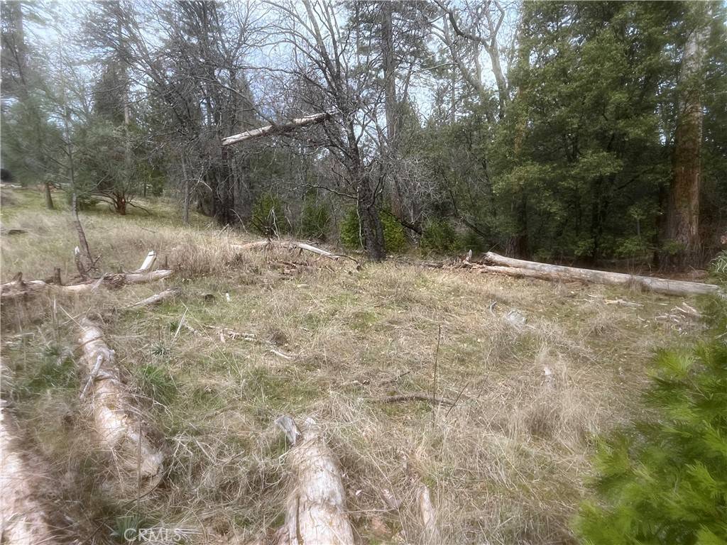 Wishon, CA 93669,0 Road 222