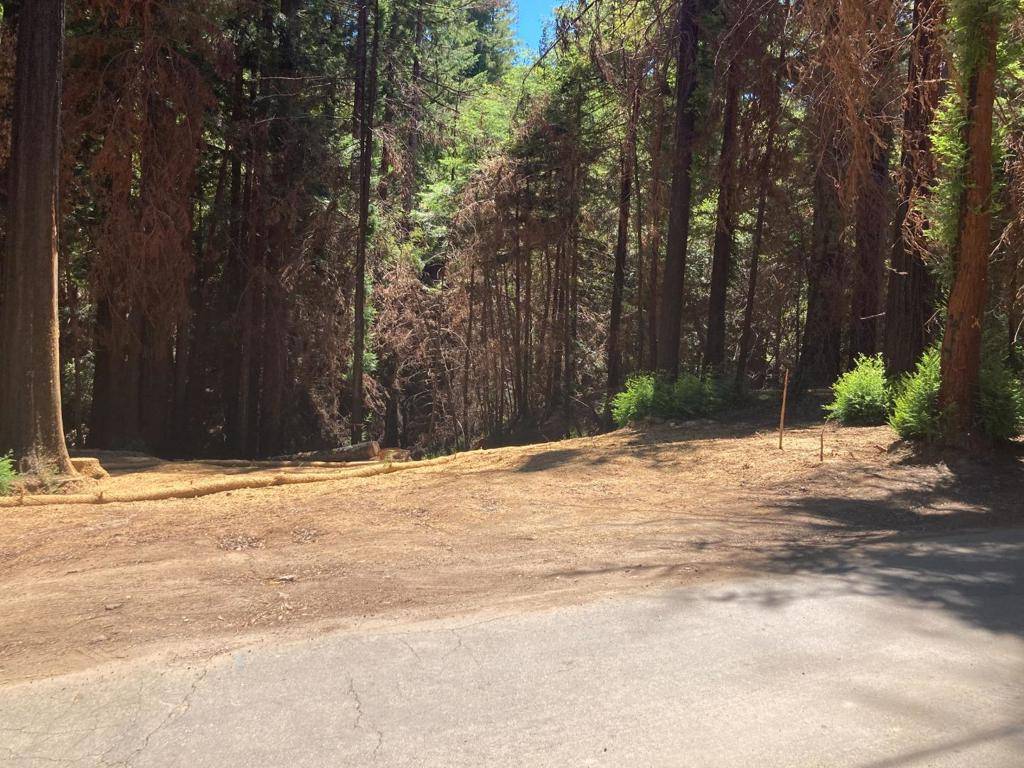 Boulder Creek, CA 95006,955 Creek DR