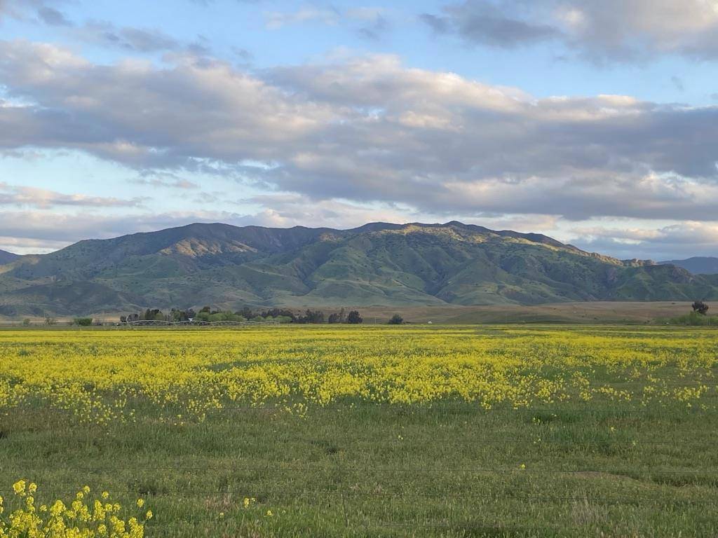 Outside Area (inside Ca), CA 95043,0 Panoche Road Pcl 1 RD