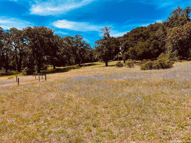 Carmel, CA 93923,34221 Robinson Canyon RD