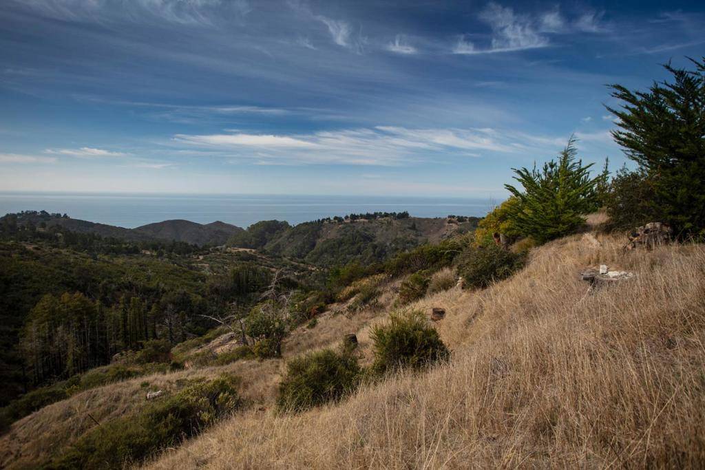 Big Sur, CA 93920,46286 Pfeiffer Ridge RD