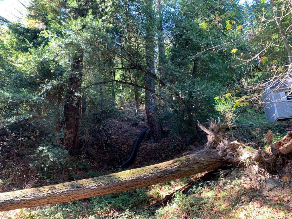 Los Gatos, CA 95033,21741 Lindbergh DR
