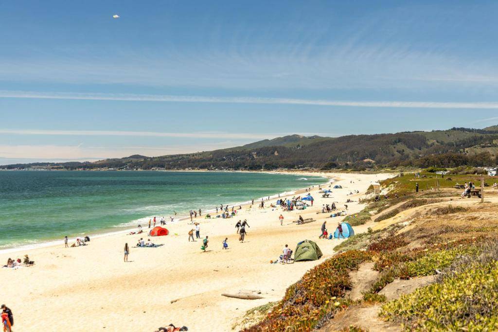 Half Moon Bay, CA 94019,myrtle