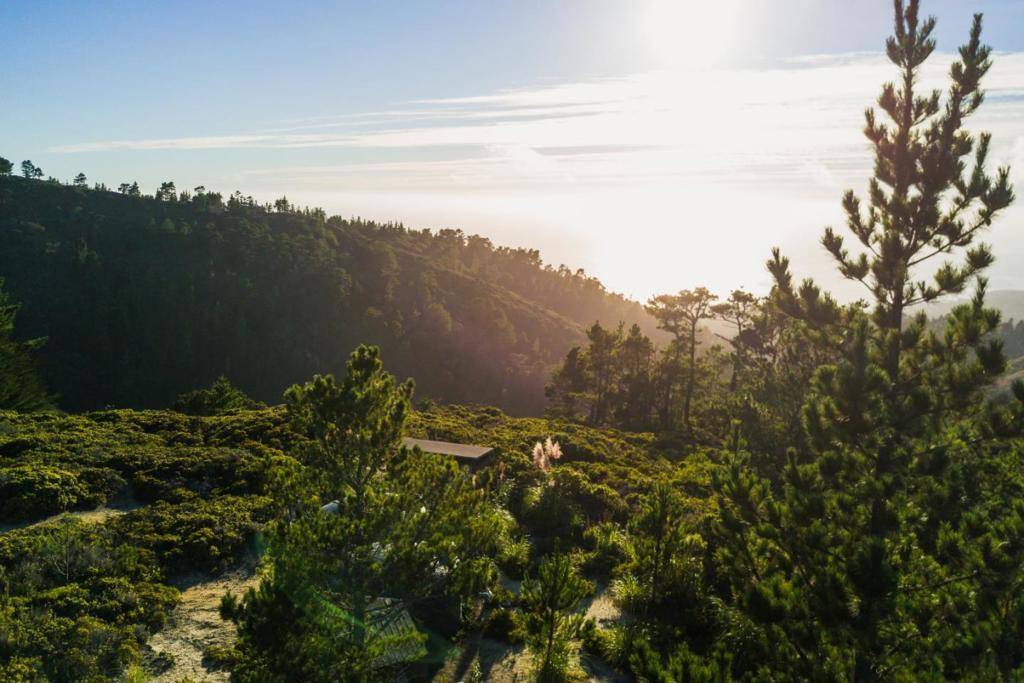 Carmel, CA 93923,2700 Red Wolf DR