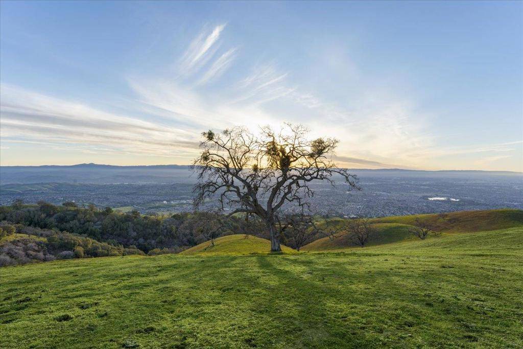 San Jose, CA 95148,4510 Quimby