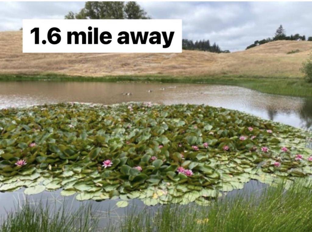 Scotts Valley, CA 95066,403 Pioneer LN