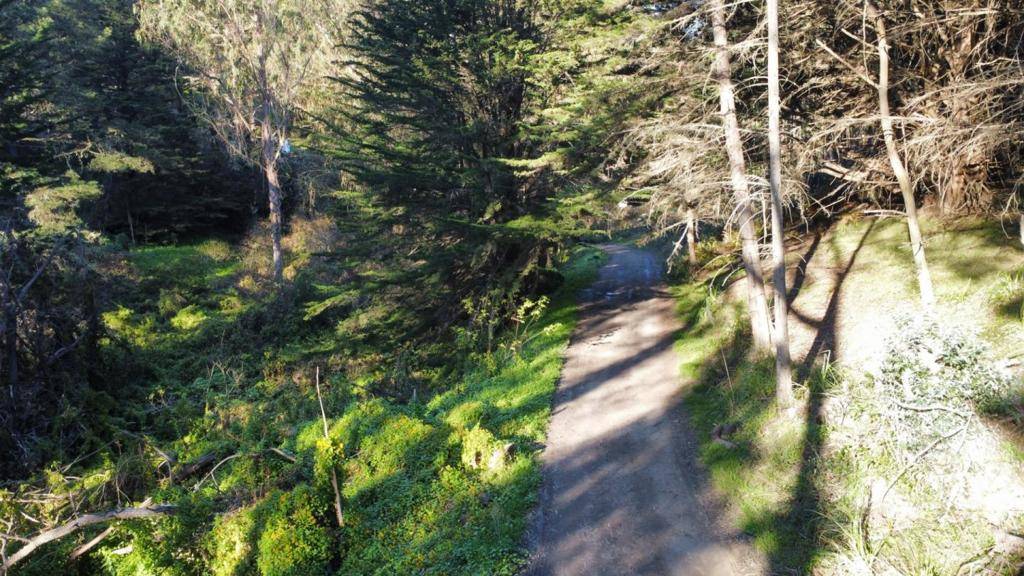 Montara, CA 94037,700 Cedar St.