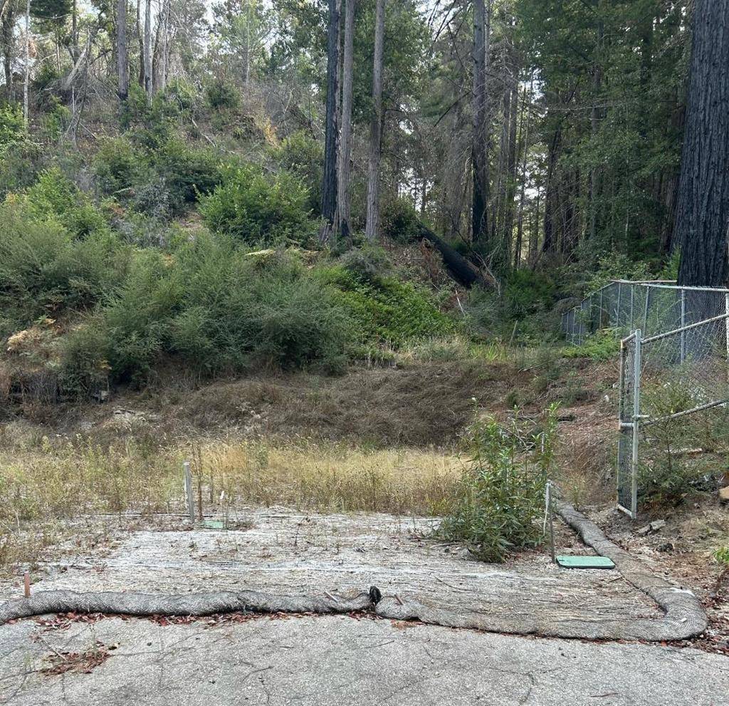 Boulder Creek, CA 95006,133 Lake DR