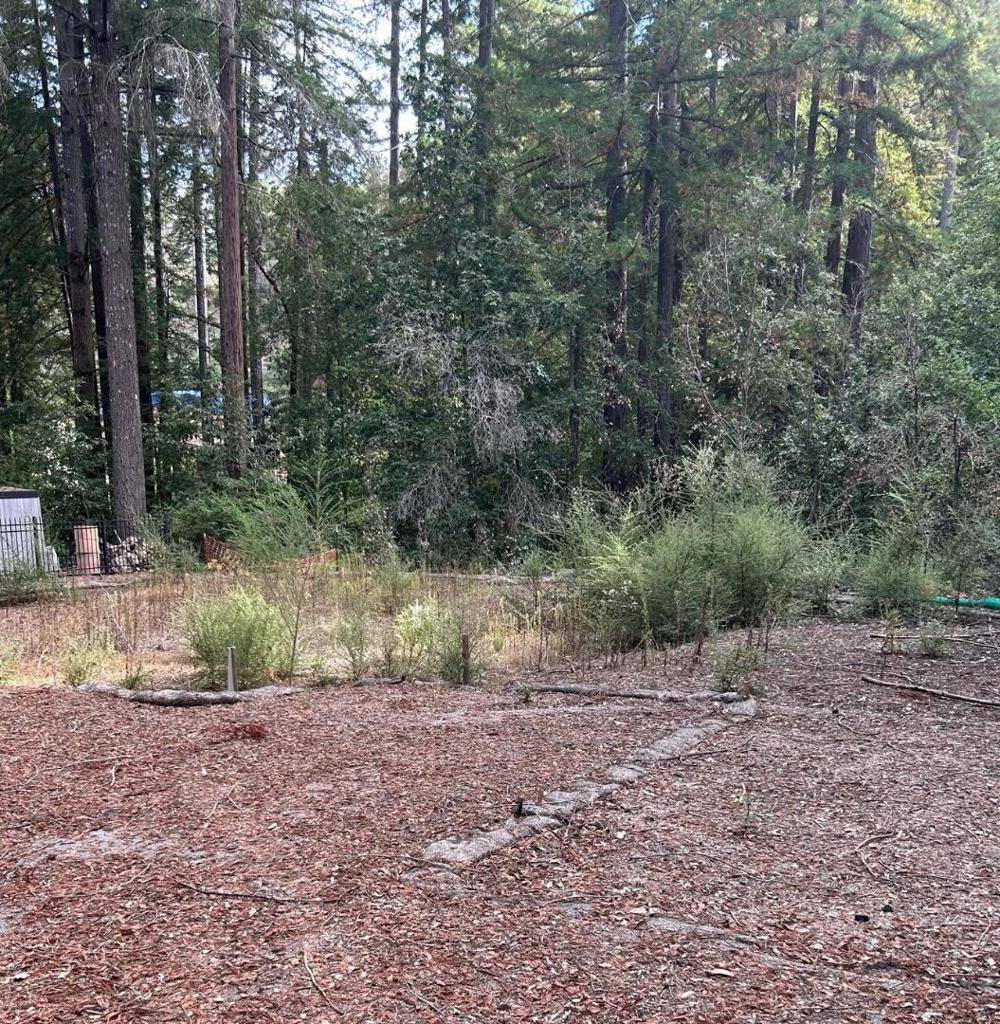 Boulder Creek, CA 95006,235 Double Bogey DR