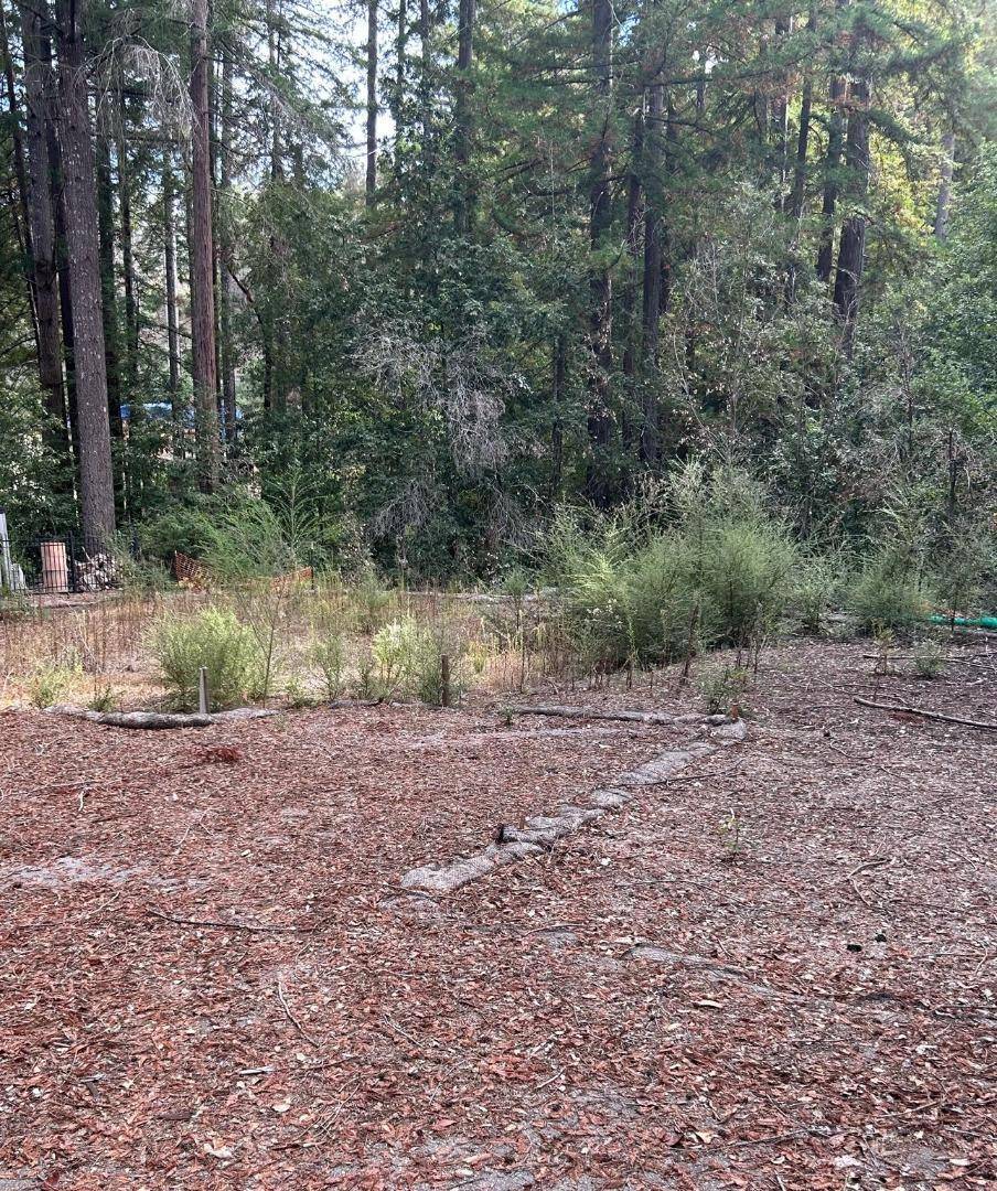 Boulder Creek, CA 95006,235 Double Bogey DR