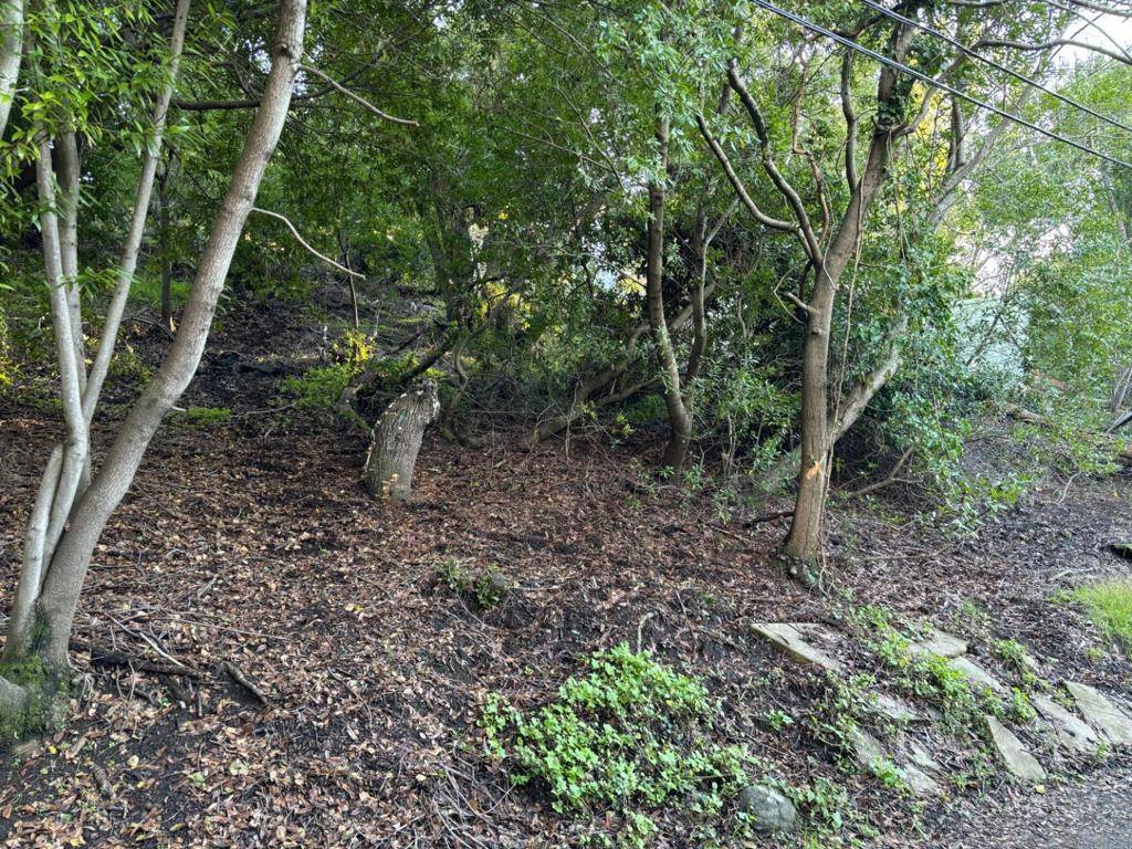 Redwood City, CA 94062,3761 Laurel WAY