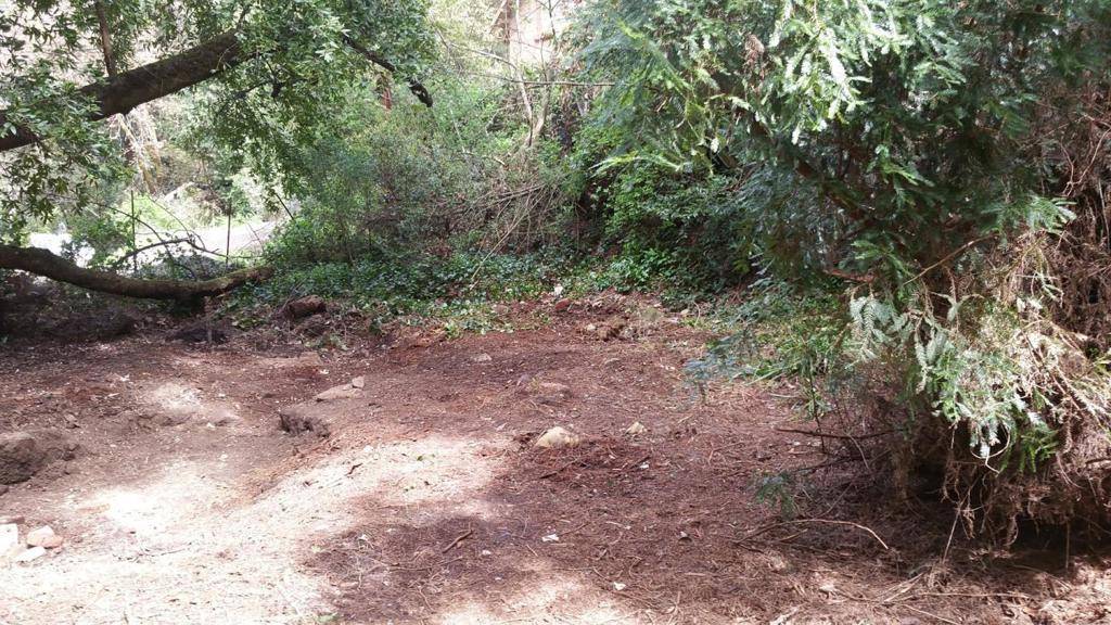 Cupertino, CA 95014,15851 Stevens Canyon RD