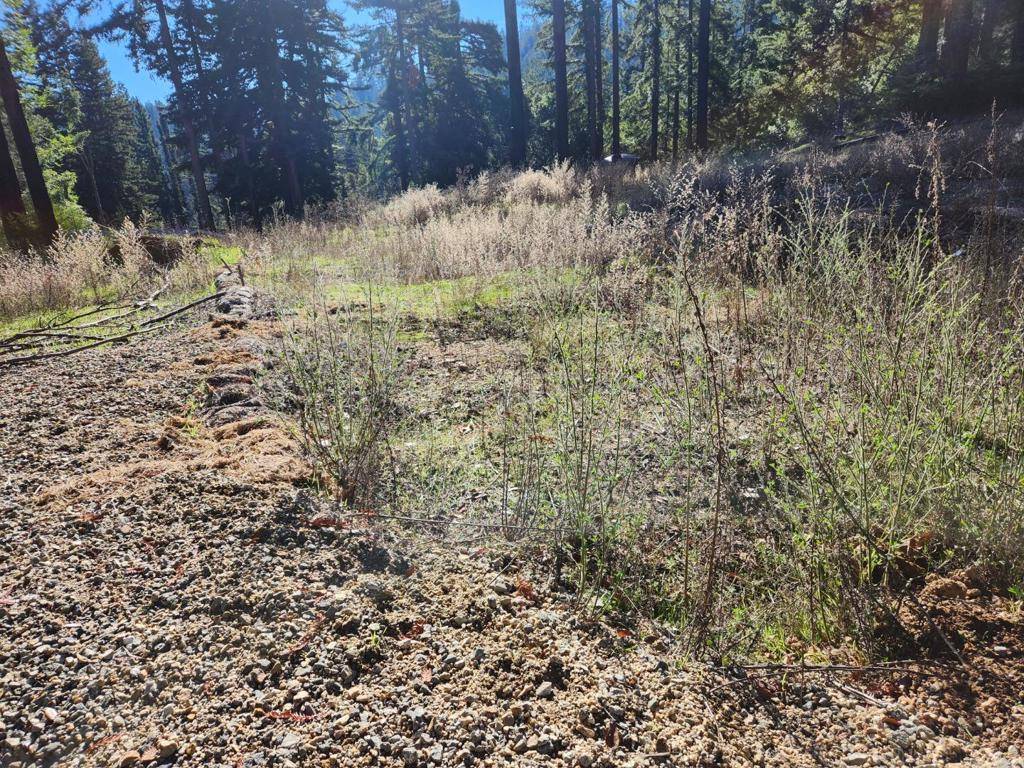 Boulder Creek, CA 95006,894 Stewart ST