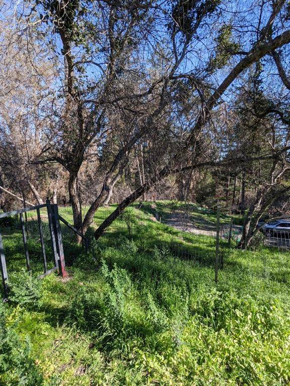 Boulder Creek, CA 95006,910 Pinecrest DR