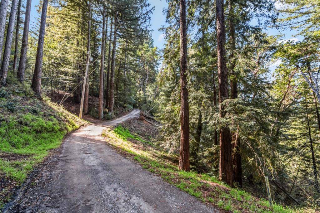 Felton, CA 95018,22 Idlewild ST