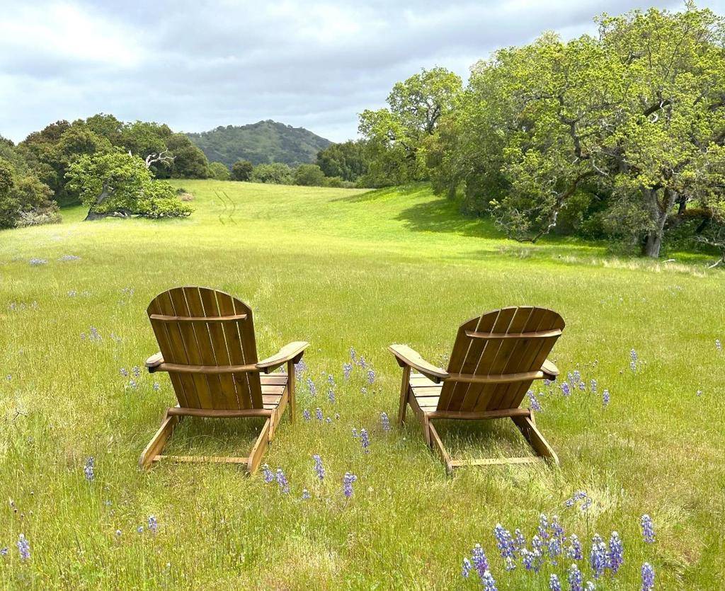 Carmel, CA 93923,29 Arroyo Sequoia