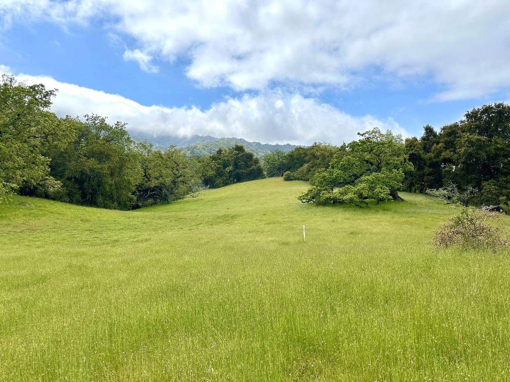 Carmel, CA 93923,29 Arroyo Sequoia