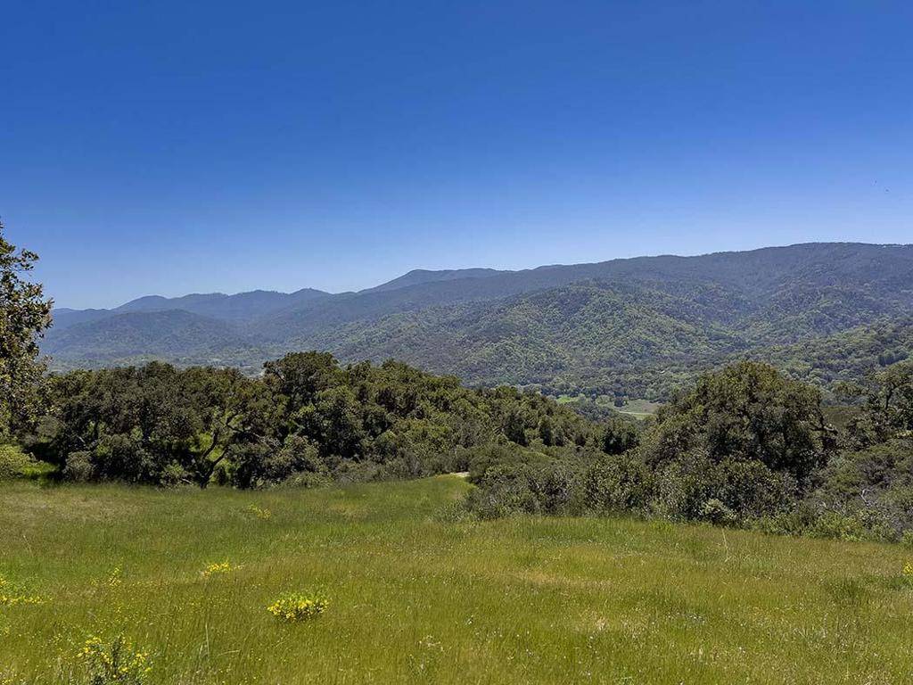 Carmel, CA 93923,57 Chamisal