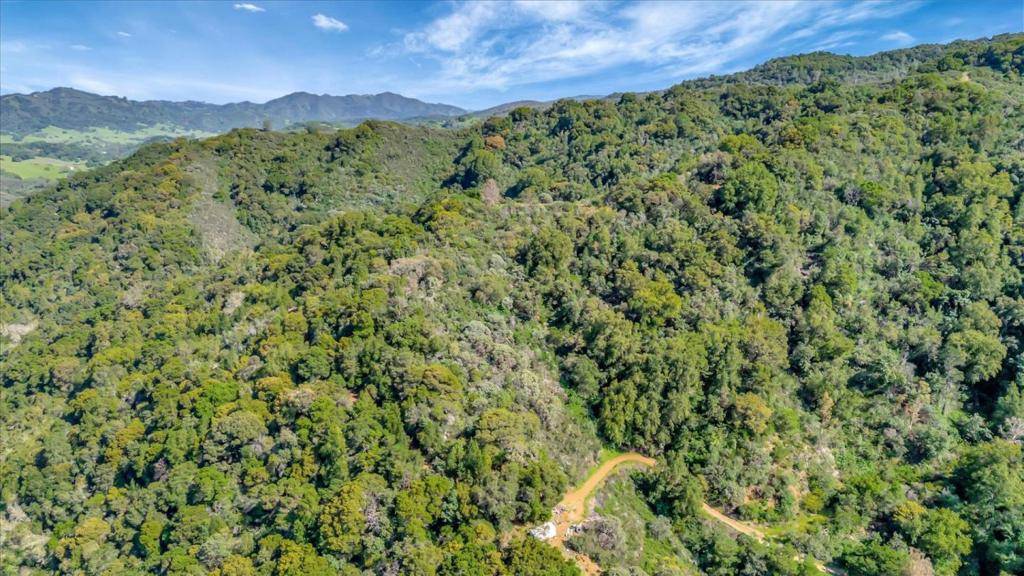 Morgan Hill, CA 95037,0 Little Uvas RD