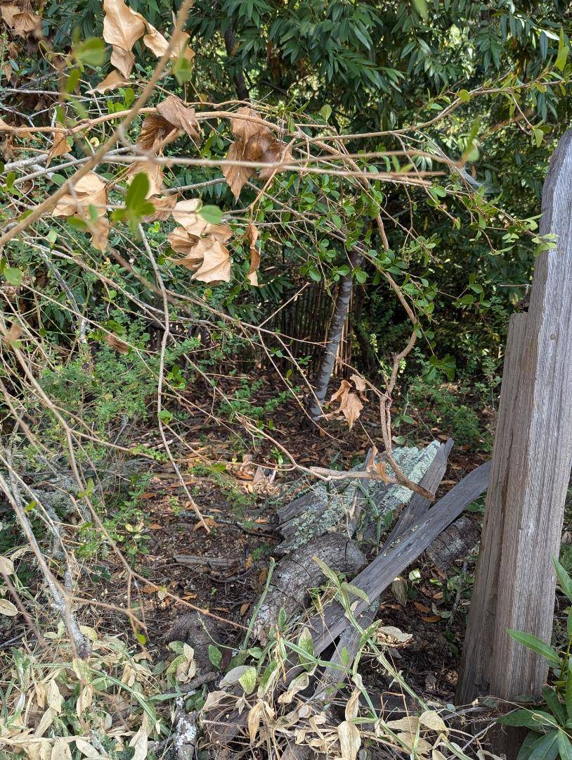 Los Gatos, CA 95033,0 Glenwood