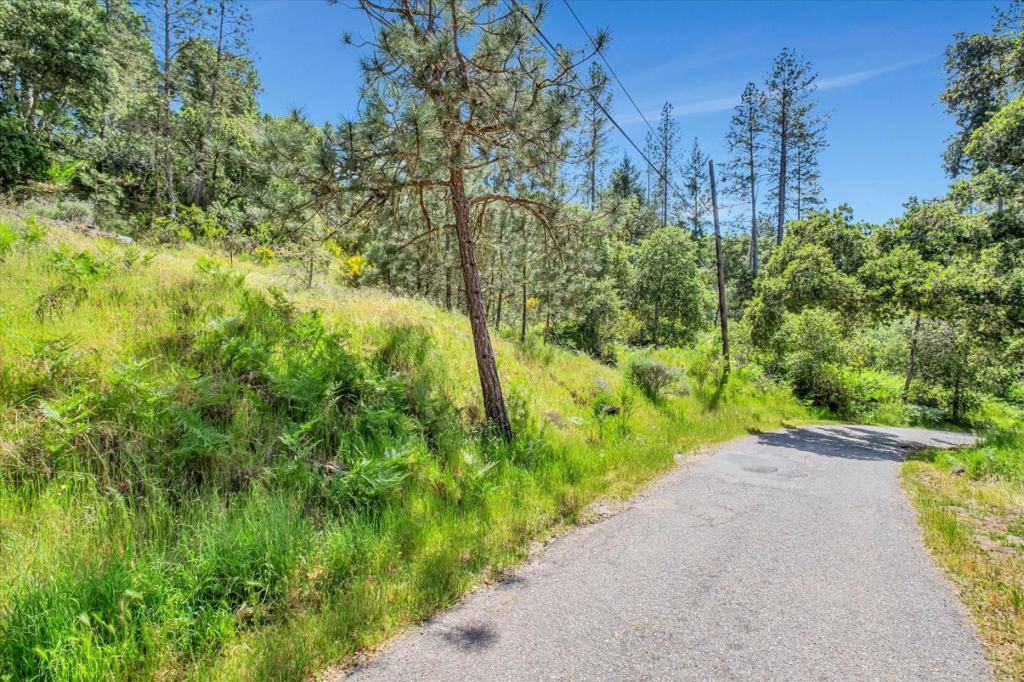 Felton, CA 95018,0 Zayante School RD