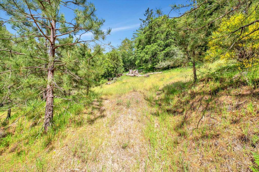 Felton, CA 95018,0 Zayante School RD