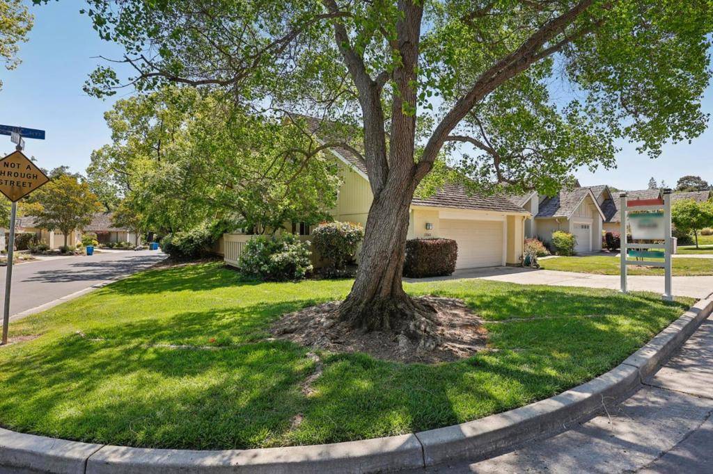 Cupertino, CA 95014,10060 Scenic BLVD