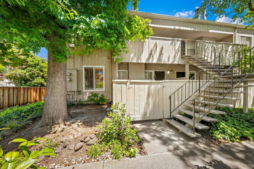 Campbell, CA 95008,905 Apricot AVE #J