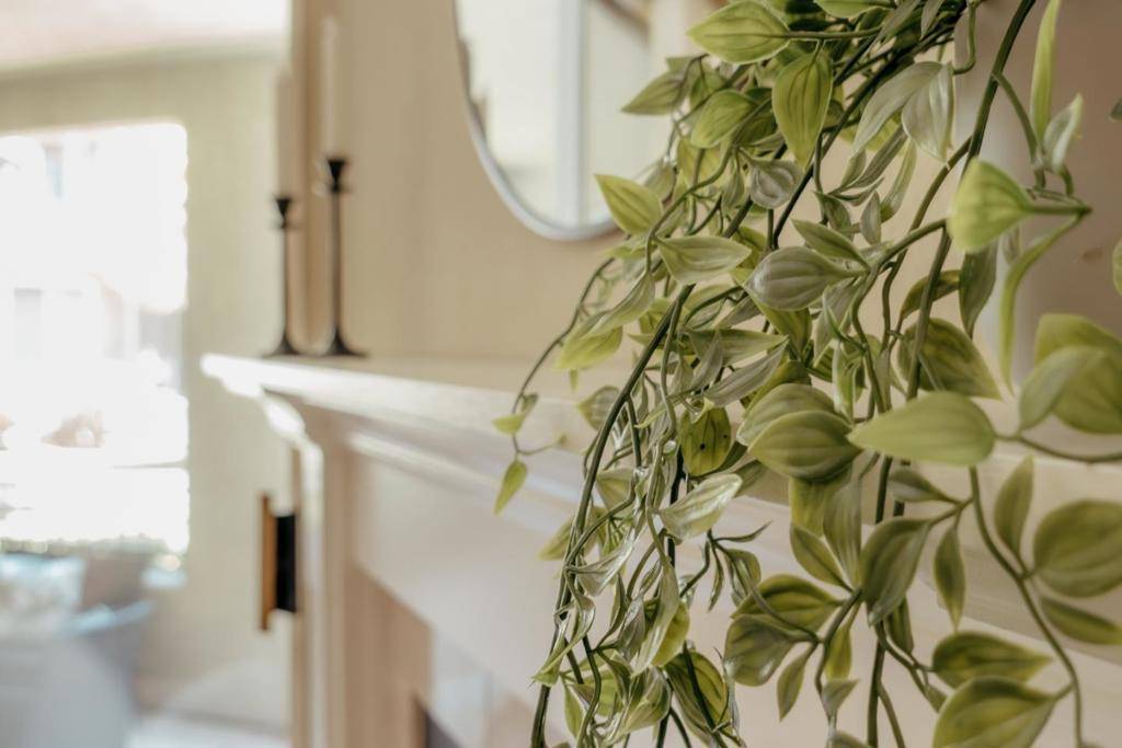 San Jose, CA 95110,185 San Pedro CIR