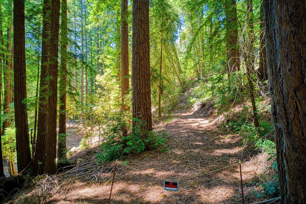 Los Gatos, CA 95033,15998 Stetson RD