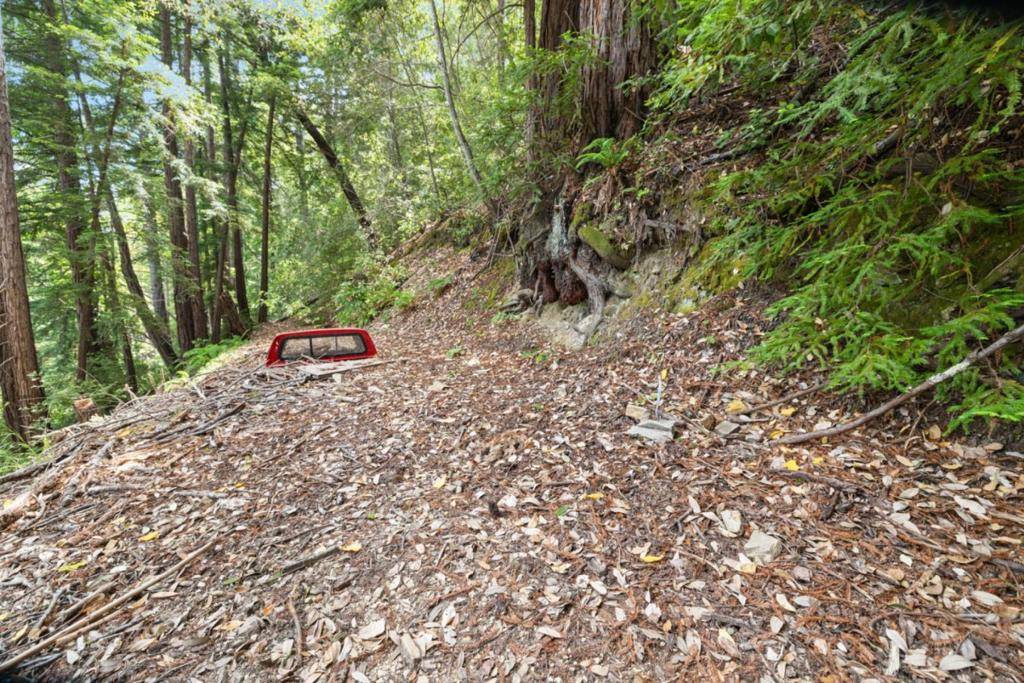Felton, CA 95018,11507 Lakeview AVE