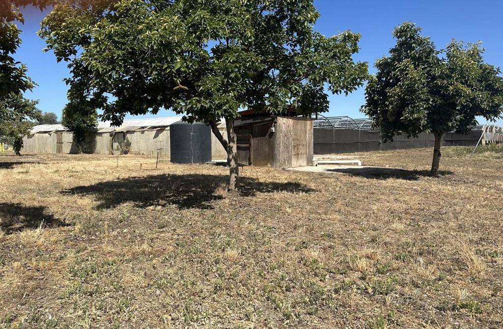 San Martin, CA 95046,0 Llagas AVE